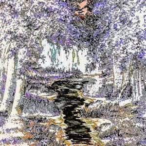 Forest Creek - ER