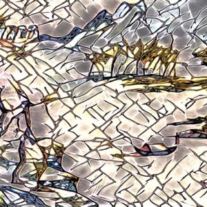 Solitary with Sunset(tree) - EG