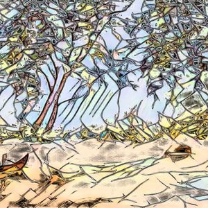 Towards the Lights - EG